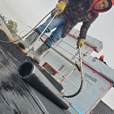 Advanced Roofing Ltd. logo
